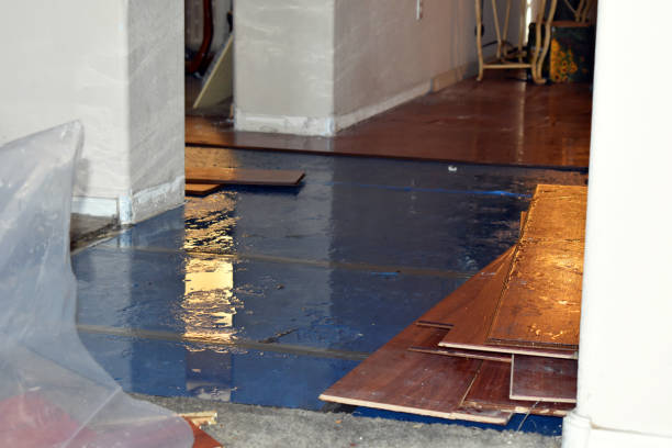 Professional Sewage Cleanup technician working in Copeland, FL